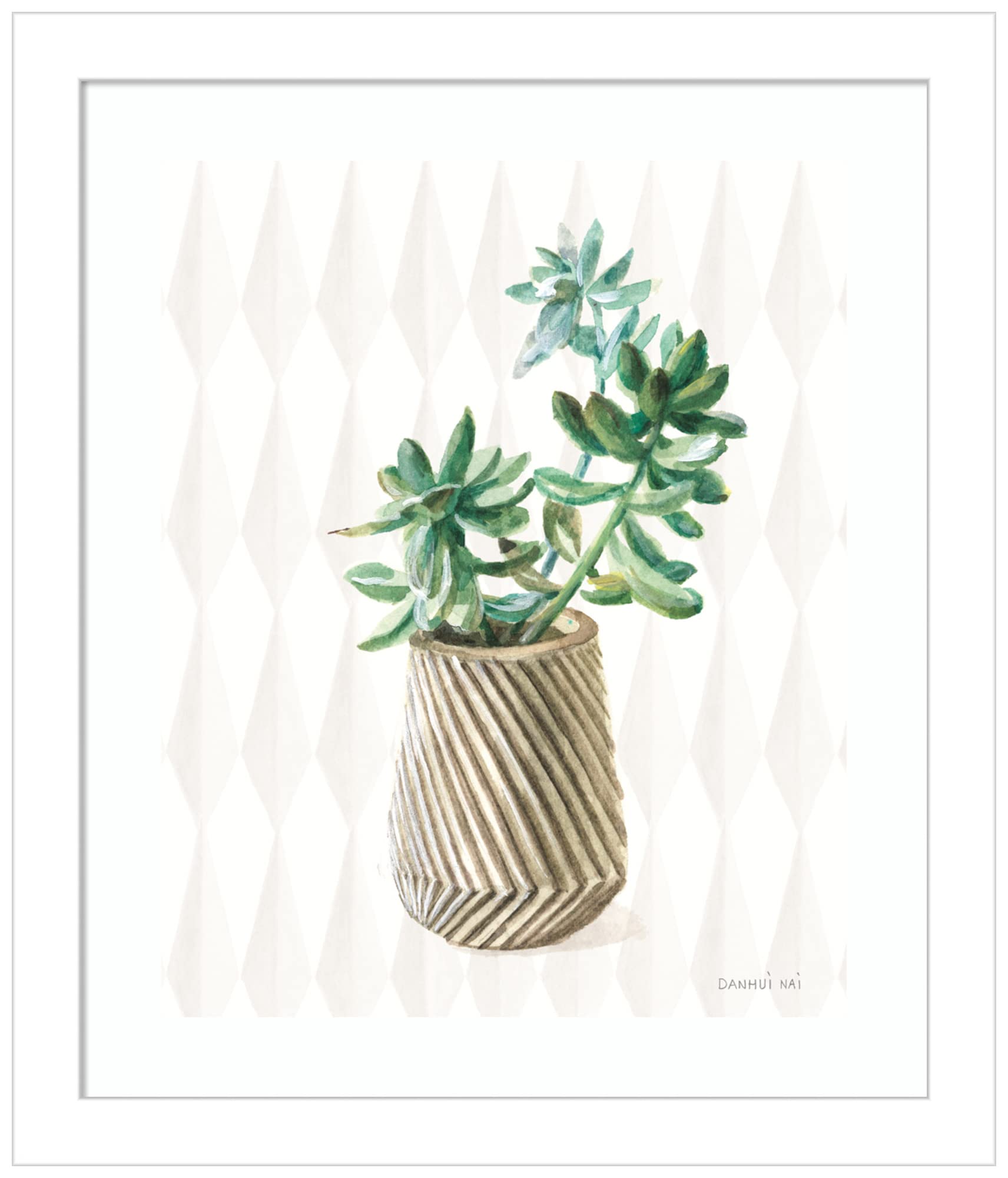 Danhui NAI Desert Greenhouse X Wood Framed Wall Art Print - 11x13 Inches, Svelte White Frame - Home & Office Decor, Living Room, Bedroom, Dining Room Wall Art