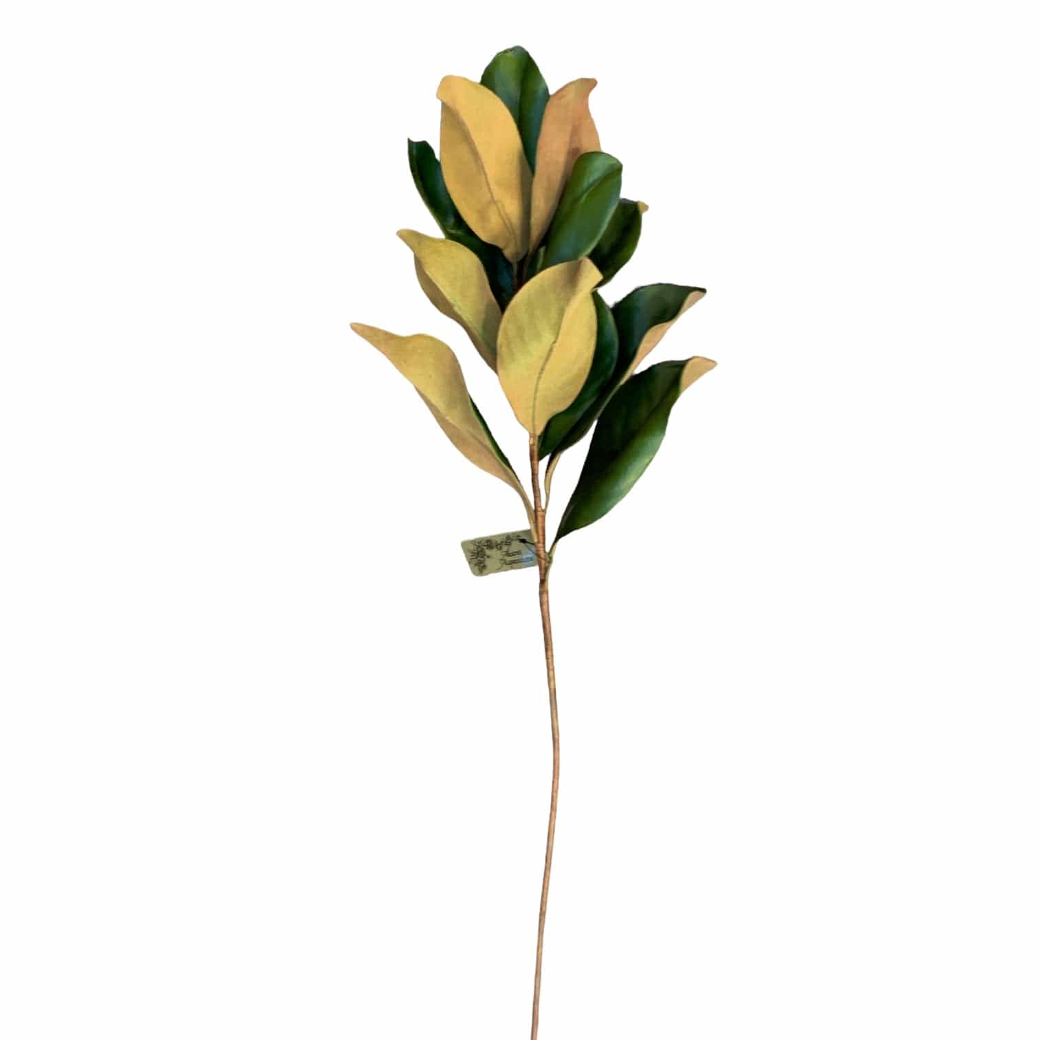 Artificial Magnolia Leaves - Realistic Faux Silk Magnolia Greenery for Home Decor, Wedding Centerpieces & Floral Arrangements