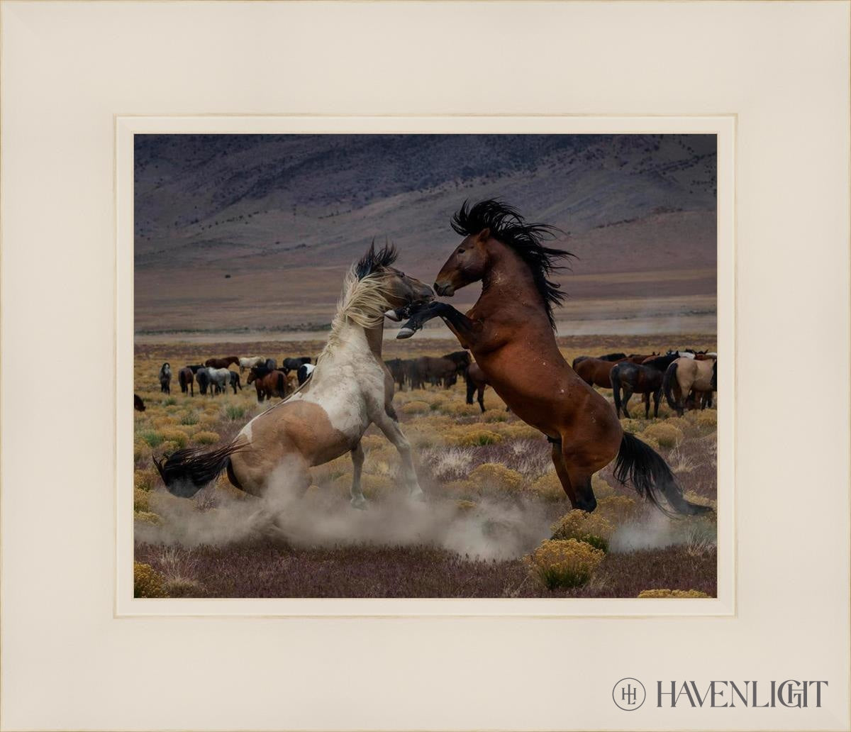 Desert Duel 5 by Greg Sargent - Western Action Novel - Perfect for Book Clubs & Cowboy Adventure Fans