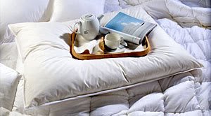 Premium Oversized Down Pillow - 600+ Fill Power, Extra Large 31x40 - Ultra Soft & Supportive for Side Sleepers - Includes Free Pillow Protector - Perfect for Bed, Sofa & Guest Rooms
