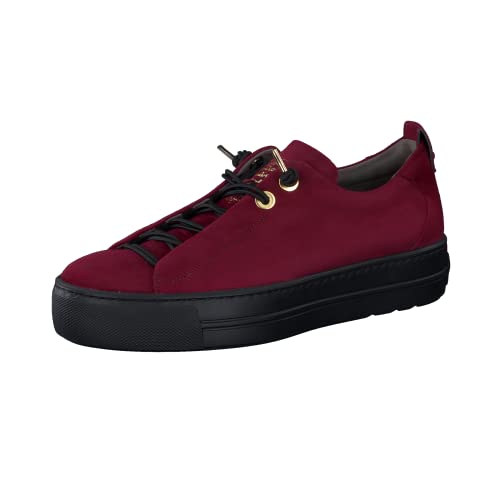 Red Bordo 264
