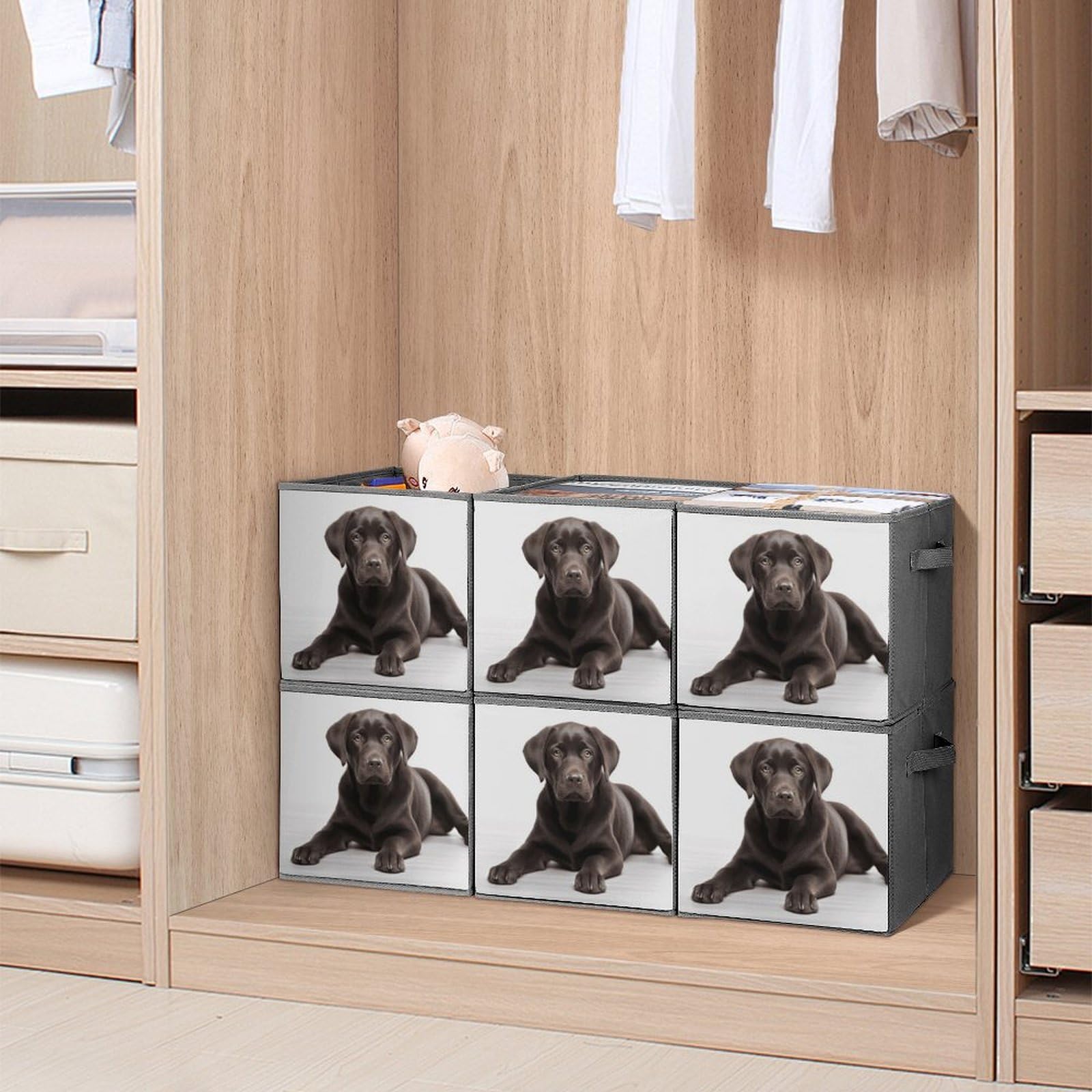 6-Pack Collapsible Storage Bins with Handles - Dog Printed Foldable Organizer Boxes for Home, Kitchen, Bathroom & Pet Supplies | Space-Saving Shelving Baskets for Closet, Laundry & Toy Storage