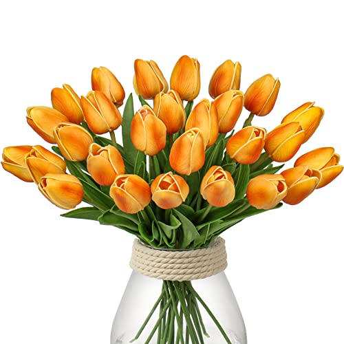 24pcs Gradient Orange
