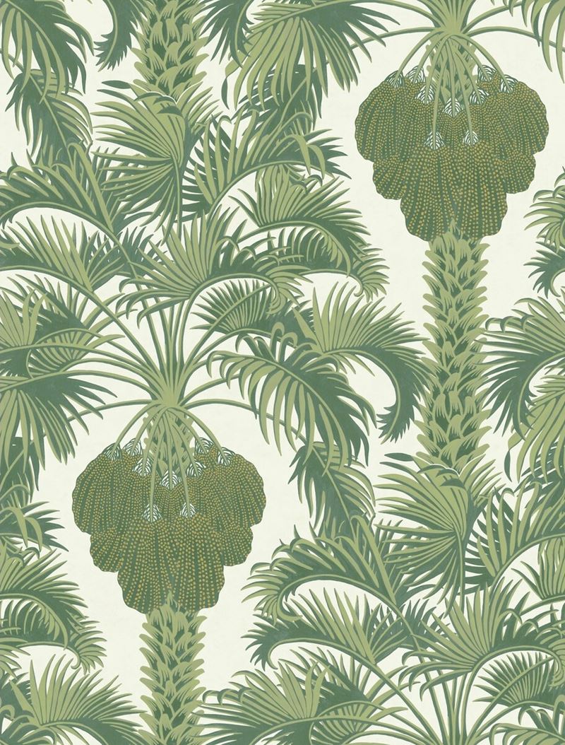 Cole and Son Hollywood Palm Leaf Green Wallpaper - Premium Botanical Design for Living Room, Bedroom & Home Decor