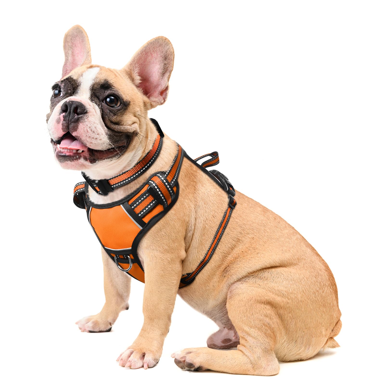 WINSEE No Pull Dog Harness - Adjustable Reflective Oxford Vest with Front/Back Leash Clips for Small Medium Large XL Dogs - Easy Control Handle for Walking, Running & Outdoor Adventures