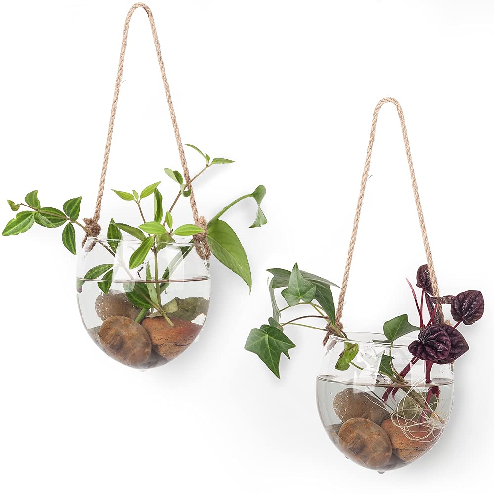 2 Pack Glass Terrariums for Plants - Hanging Oblate Shape Hydroponic Planter with Lid, Perfect for Home Garden, Office & Living Room Decor | Ideal for Succulents, Air Plants & Indoor Greenery