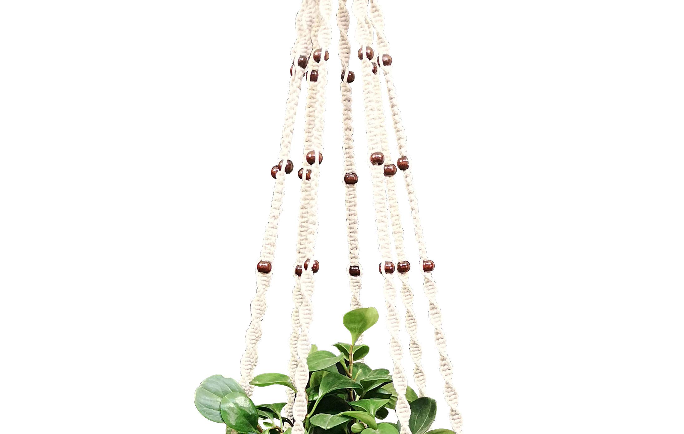 Handmade Cotton Rope Macrame Plant Hanger - 8 Strand 63 Inch Hanging Planter with Hook for 12-13 Inch Pots (Cream) | Boho Home Decor, Indoor Garden, Living Room & Patio Plant Display