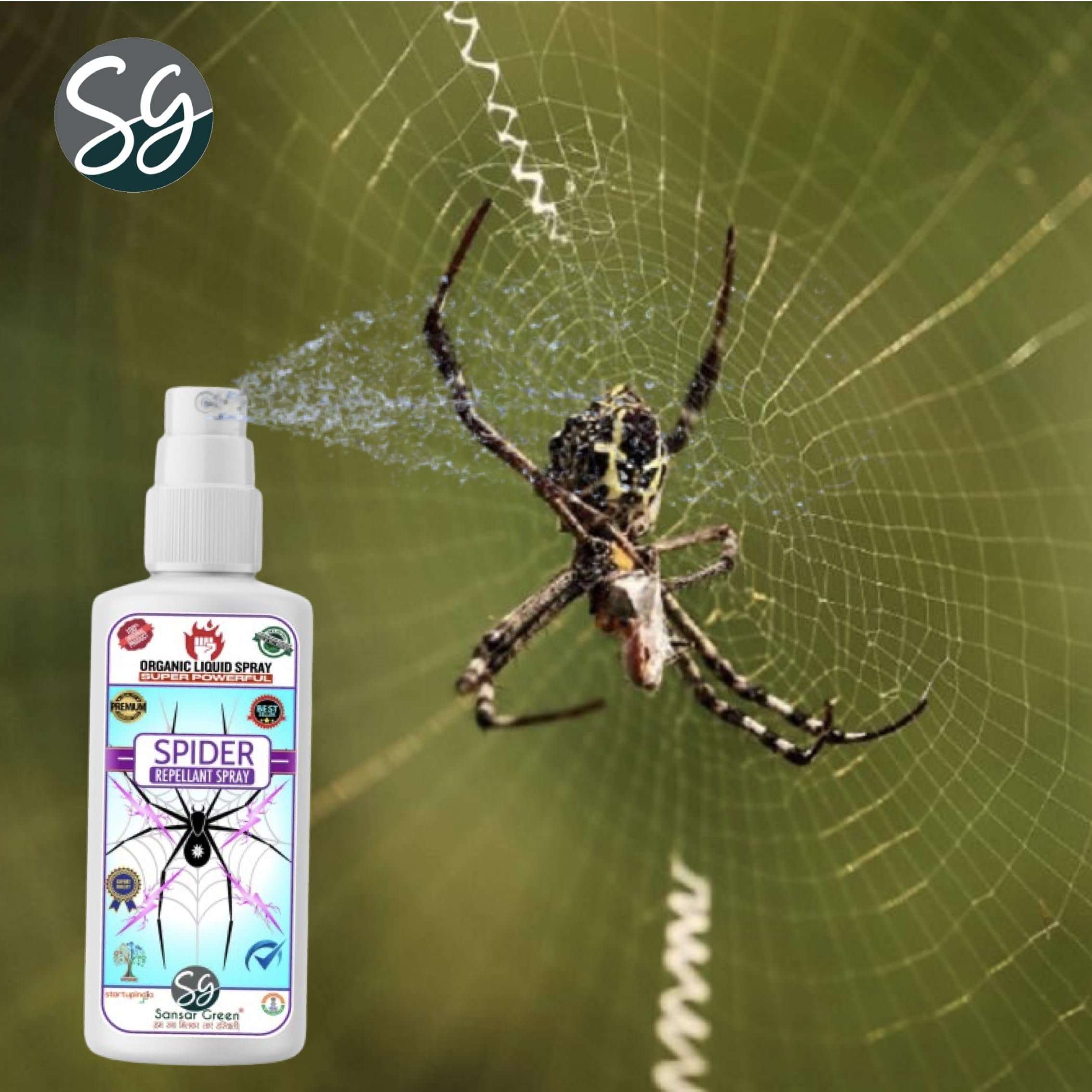 Sansar Green® Organic Spider Repellent Spray - Non-Toxic, Biodegradable & Pet Safe | Chemical-Free Indoor/Outdoor Bug Spray for Home, Office & Garden | 15-Day Protection with Refreshing Fragrance (100ml) | Perfect for Patios, Basements & Closets