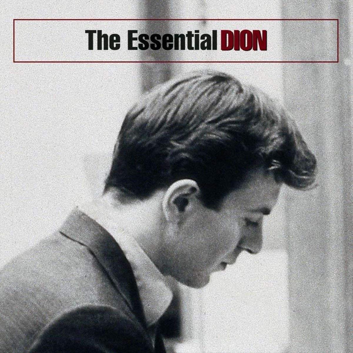 The Essential Dion - Premium Quality Product for Everyday Use | Perfect for Home, Office & Travel | Shop Now for Fast US Shipping