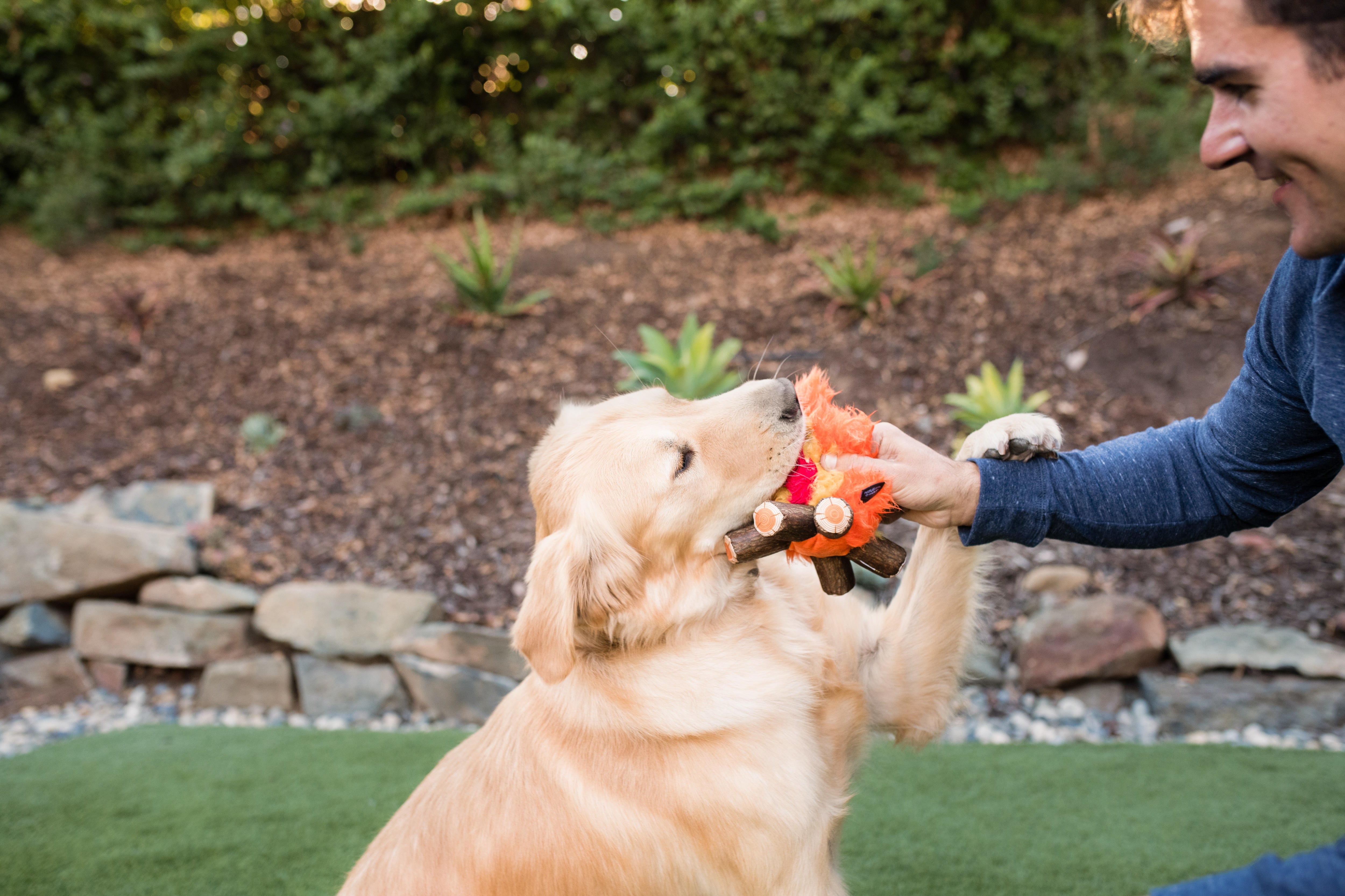 La Fogata Dog Chew Toy - Camp Corbin™ Plush Squeaky Chew Toy for Dogs | Pet P.L.A.Y. | Perfect for Playtime, Training & Outdoor Adventures
