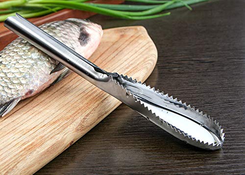 WOIWO Stainless Steel Fish Scale Scraper - Durable Kitchen Tool for Removing Fish Scales Easily - Perfect for Home Cooking, Fishing Trips & Professional Chefs