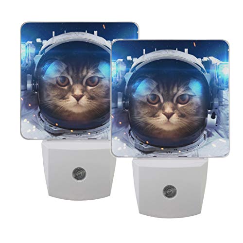 Cat Outer Space