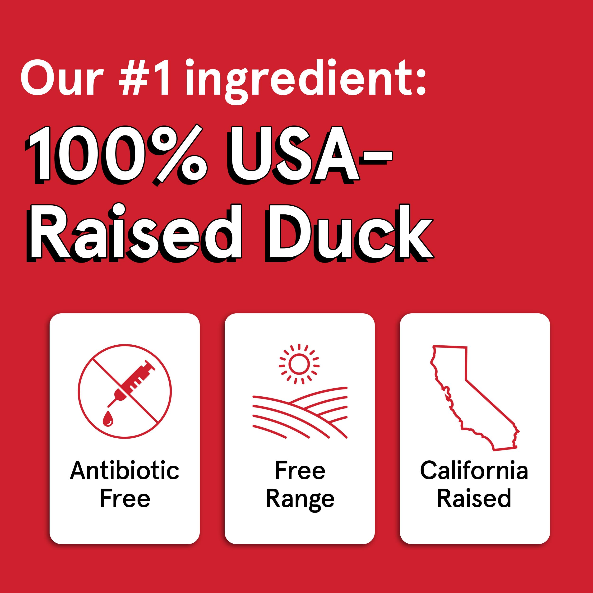 Premium USA-Made Air-Dried Duck Neck Dog Treats - 6oz Bag with Six 6-Inch All-Natural, Free-Range Duck Necks - Grain-Free, High-Protein Snack for Medium & Large Dogs - Perfect for Training Rewards, Dental Health & Chewing Satisfaction