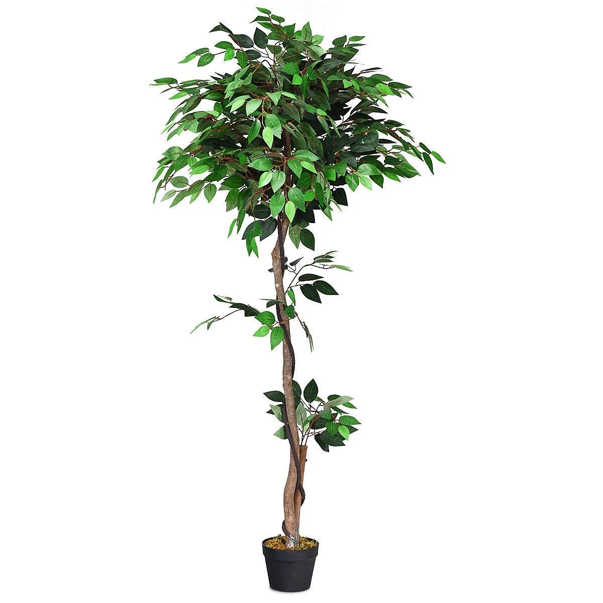 5.5ft Artificial Ficus Tree in Pot - Realistic Fake Indoor Outdoor Plant with Natural Trunk & Leaves - Perfect for Home, Office, Living Room, and Patio Decor