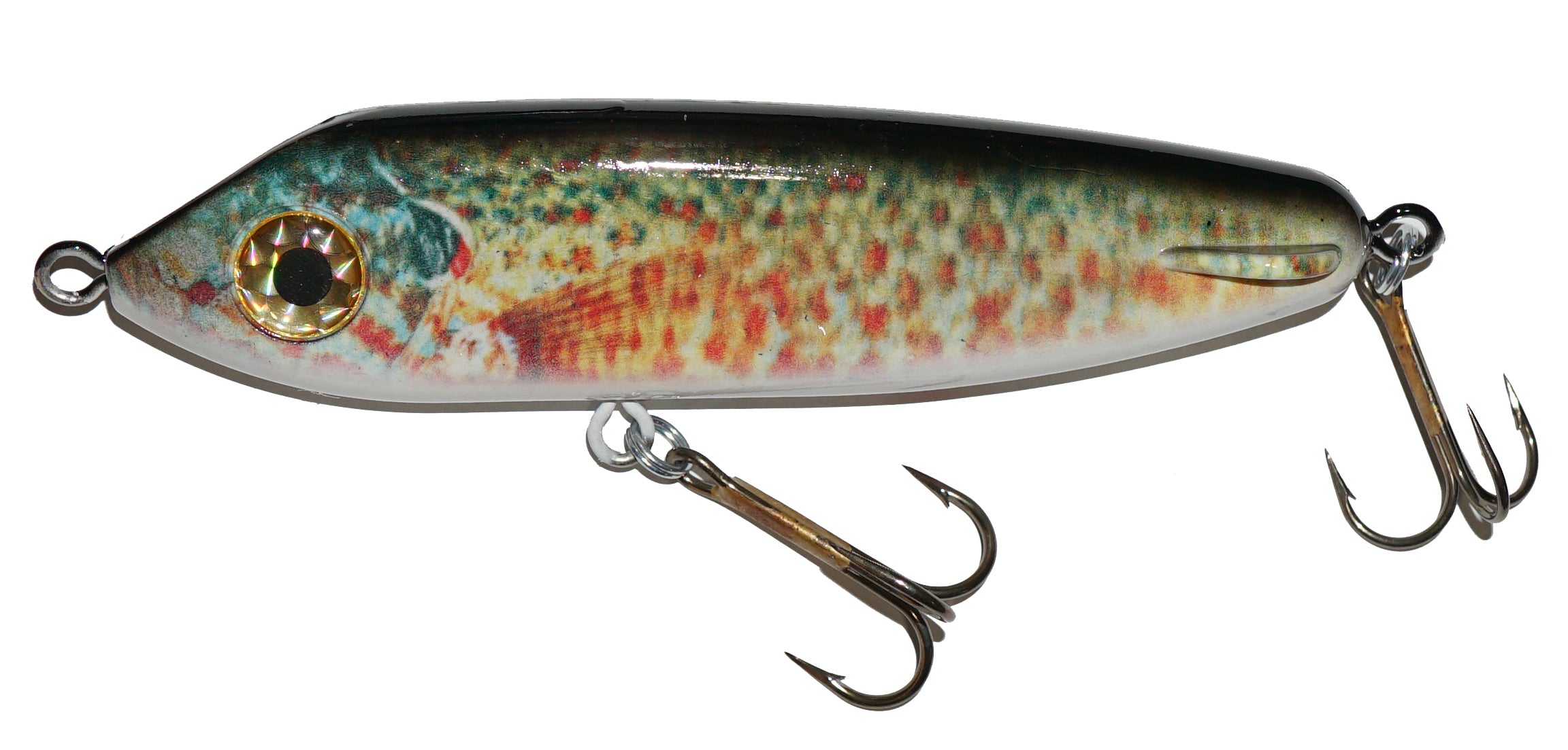 Drifter Hellpuppy 6 Glide Bait Fishing Lure - Realistic Live Image Series for Bass, Walleye & Pike - Perfect for Freshwater & Saltwater Fishing