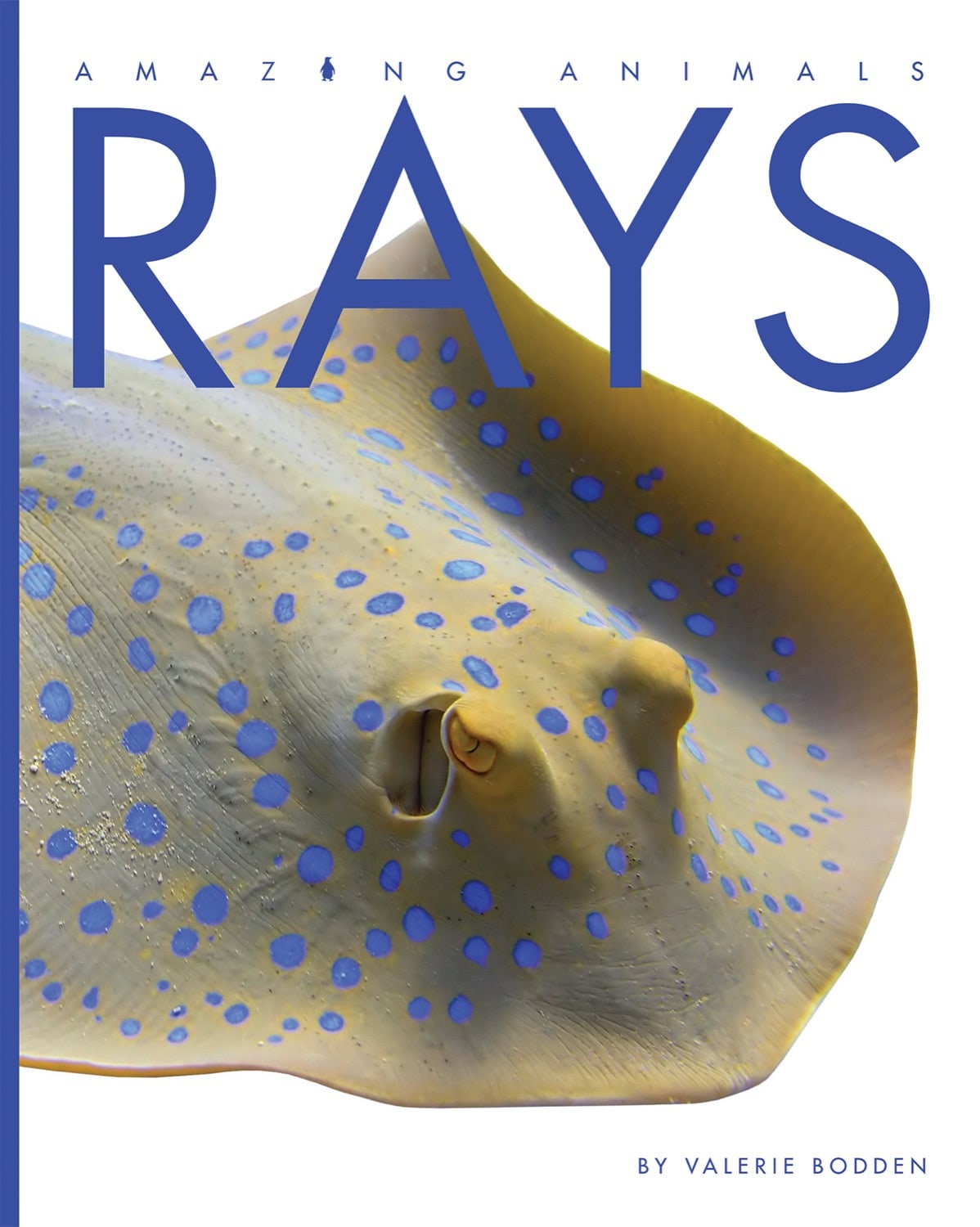 Amazing Animals (2014): Stingrays & Manta Rays - Educational Marine Life Documentary for Kids & Nature Lovers | Perfect for Classroom Learning & Home Entertainment