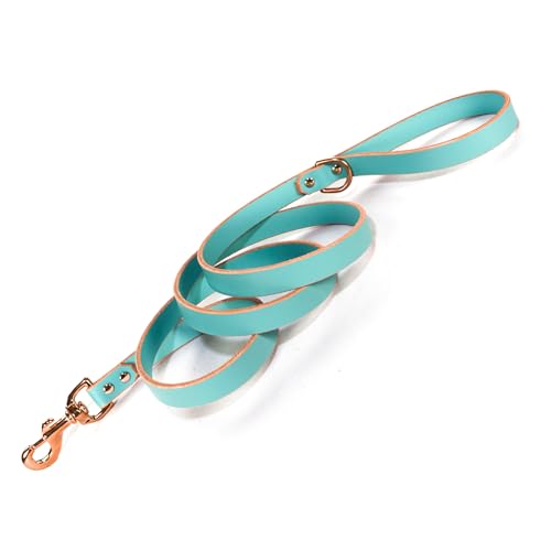 Robin's Egg Blue