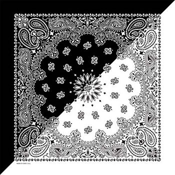 Black and White Split Paisley Print Scarf - Lightweight Fashion Accessory for Women - Perfect for Office, Party and Everyday Wear