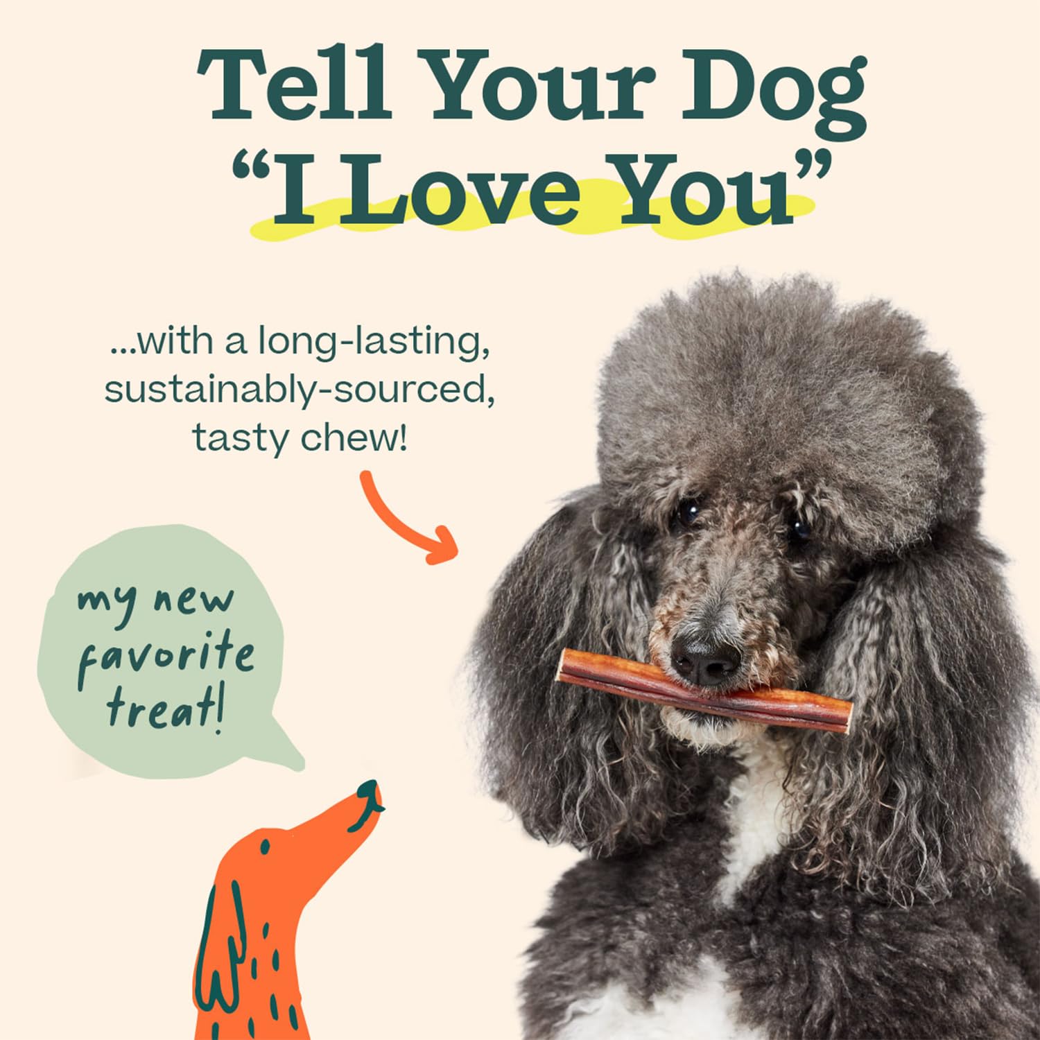 WOOF Bully Sticks Dog Treats - Natural Long-Lasting Chew Sticks for Dogs, Free-Range Grass-Fed Beef, 6 Inch (5 Pack) - Perfect for Teething Puppies, Aggressive Chewers & Dental Health