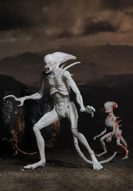 Alien: Covenant Neomorph Action Figure - Collectible Movie Merchandise for Sci-Fi Fans | Perfect for Display, Cosplay & Gift Giving