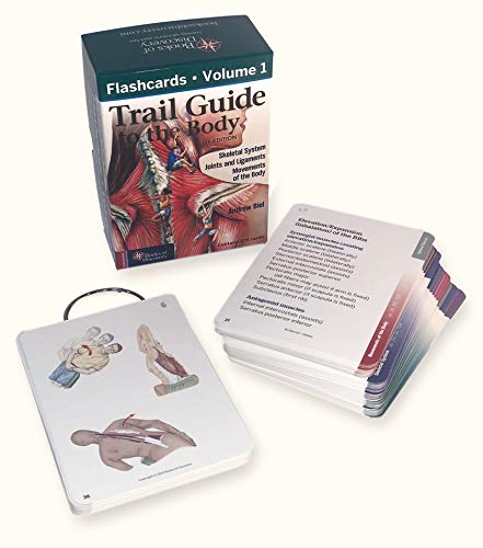 Trail Guide to the Body Flashcards 6th Edition Volume 2: Muscles of the Human Body - Anatomy Study Tool for Students & Medical Professionals - Perfect for Classroom Learning & Clinical Practice