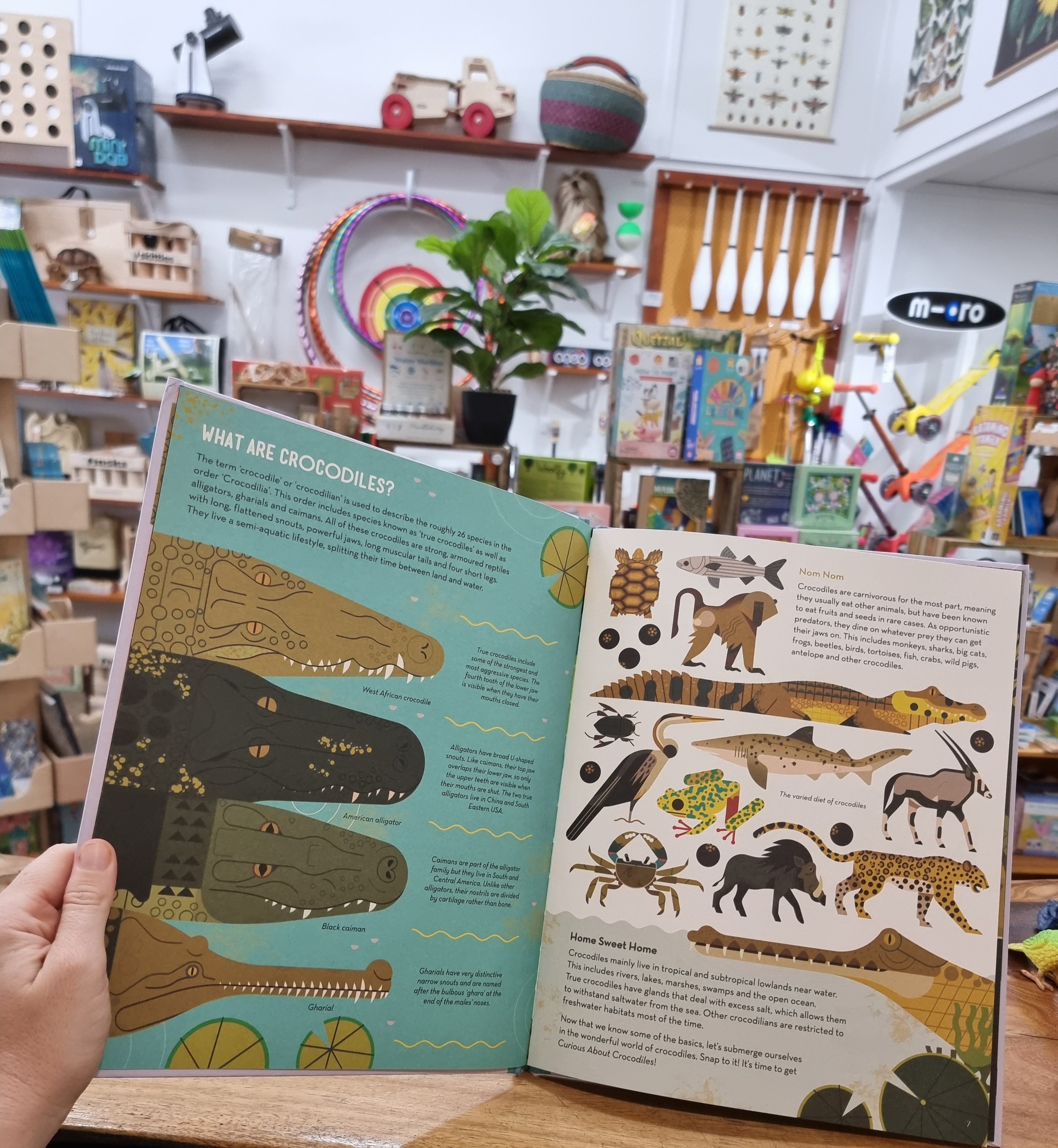 Curious About Crocodiles: Illustrated Animal Book for Kids by Owen Davey - Perfect for Bedtime Stories & Wildlife Education