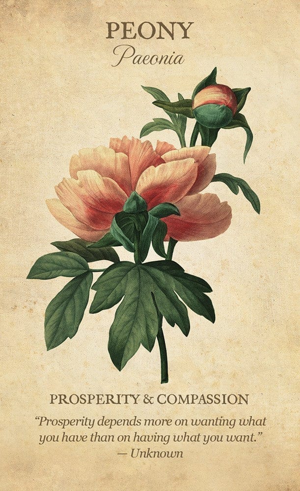 Botanical Inspirations Deck & Book Set - 78 Nature-Themed Oracle Cards & Guidebook for Meditation, Self-Discovery & Spiritual Growth | Perfect for Tarot Readers, Yoga Practitioners & Nature Lovers