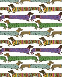 Cute Dachshund Dog
