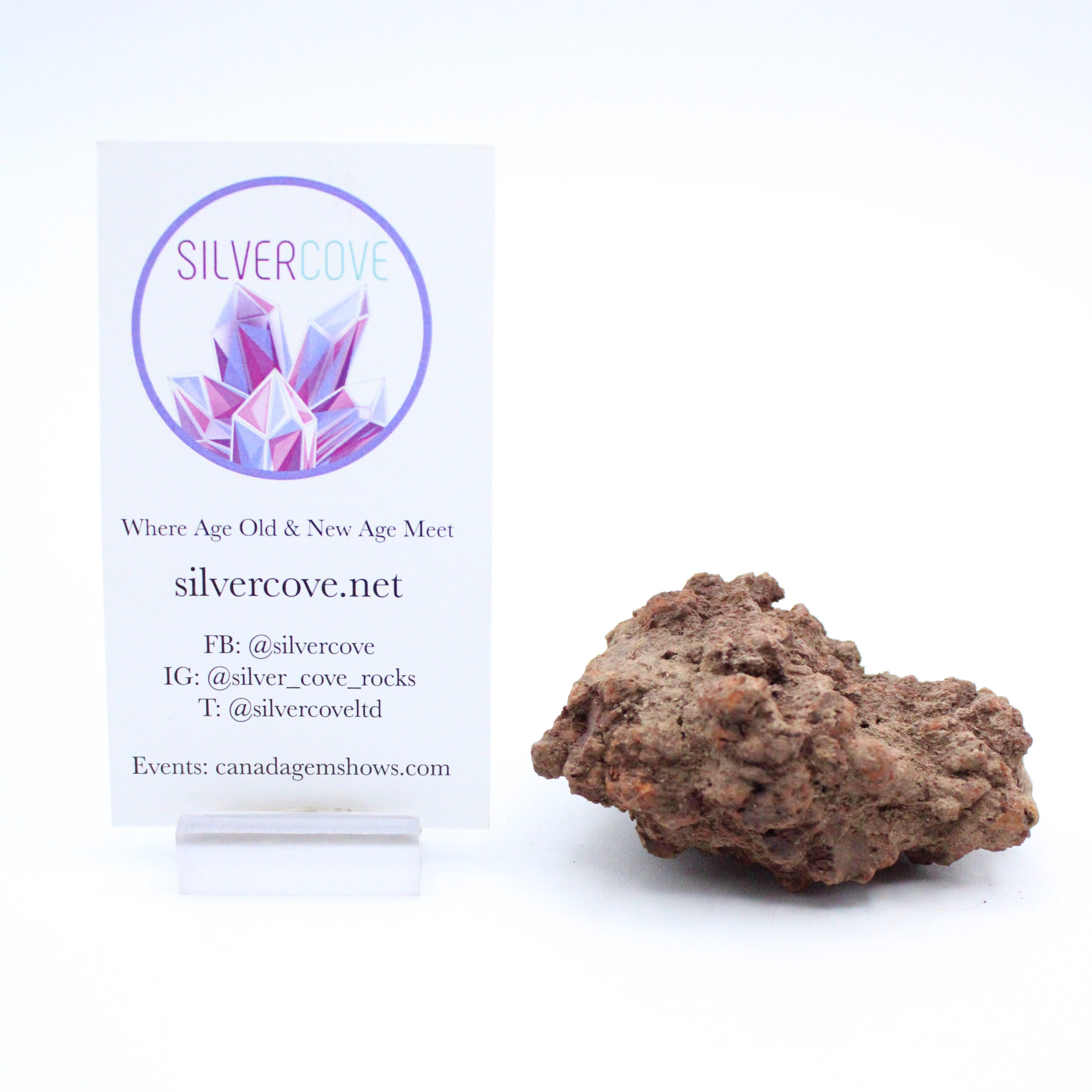 Authentic Coprolite Fossil Specimen - Dinosaur Poop Fossil for Collectors & Science Enthusiasts - Perfect for Educational Displays & Unique Home Decor