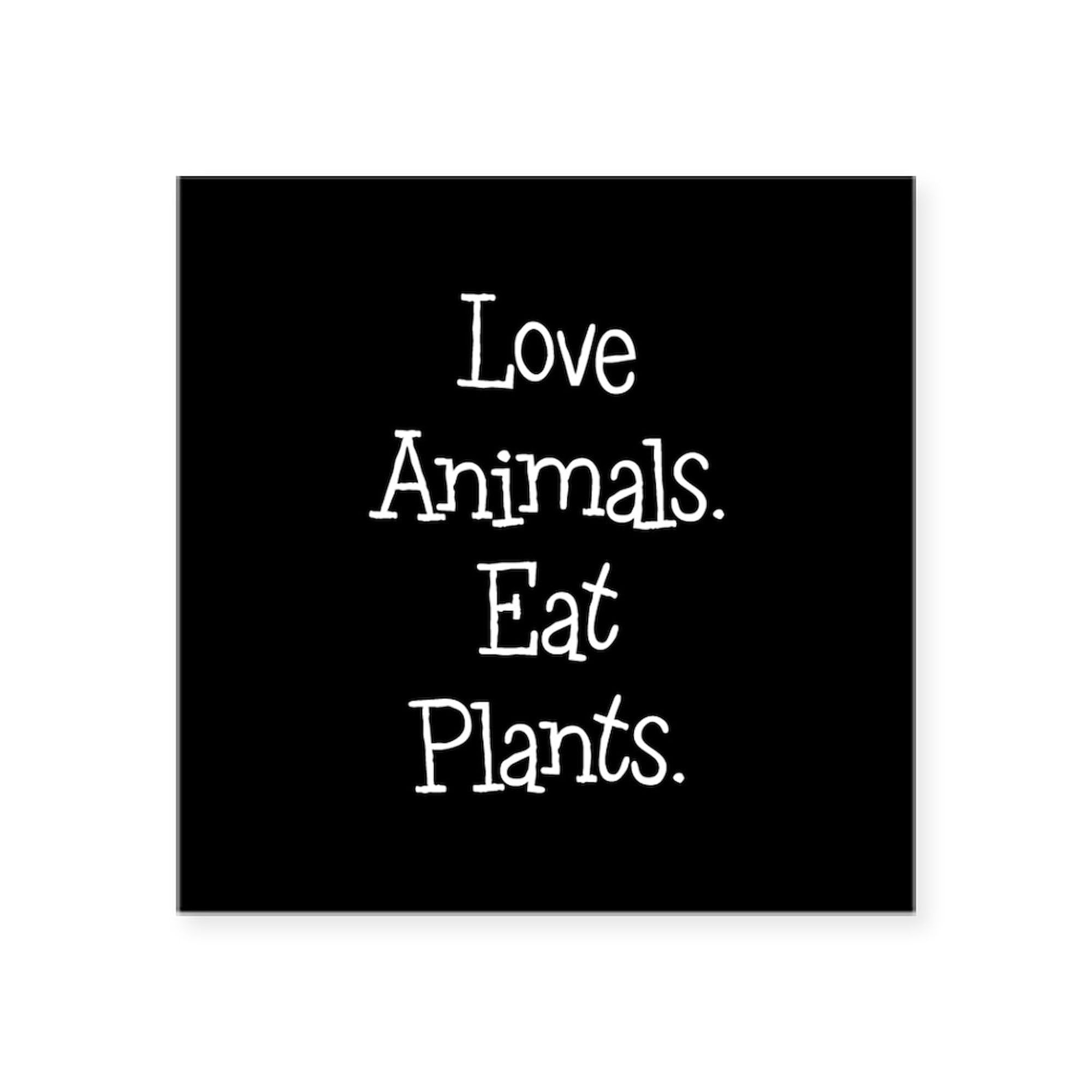 Love Animals Eat Plants Sticker - Square Bumper Decal for Cars, Laptops & Water Bottles - Vegan & Eco-Friendly Car Accessories - Perfect for Animal Lovers & Plant-Based Lifestyle