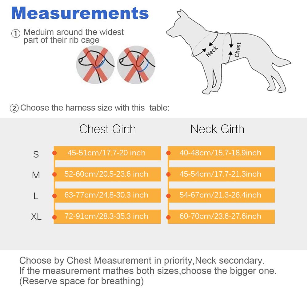 Best No Pull Dog Harness with Handle - Adjustable, Breathable Pet Vest for Small, Medium & Large Dogs - Perfect for Walking, Training & Outdoor Adventures (Includes Free Dog Leash)
