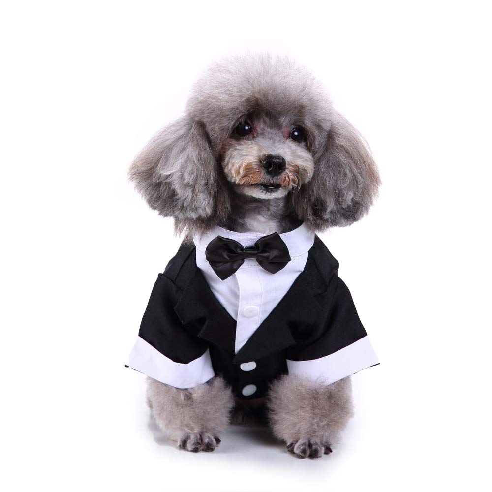 Festive Dog Reindeer Sweaters - Christmas Pet Clothes for Small Dogs & Cats | Holiday Outfits for Pets