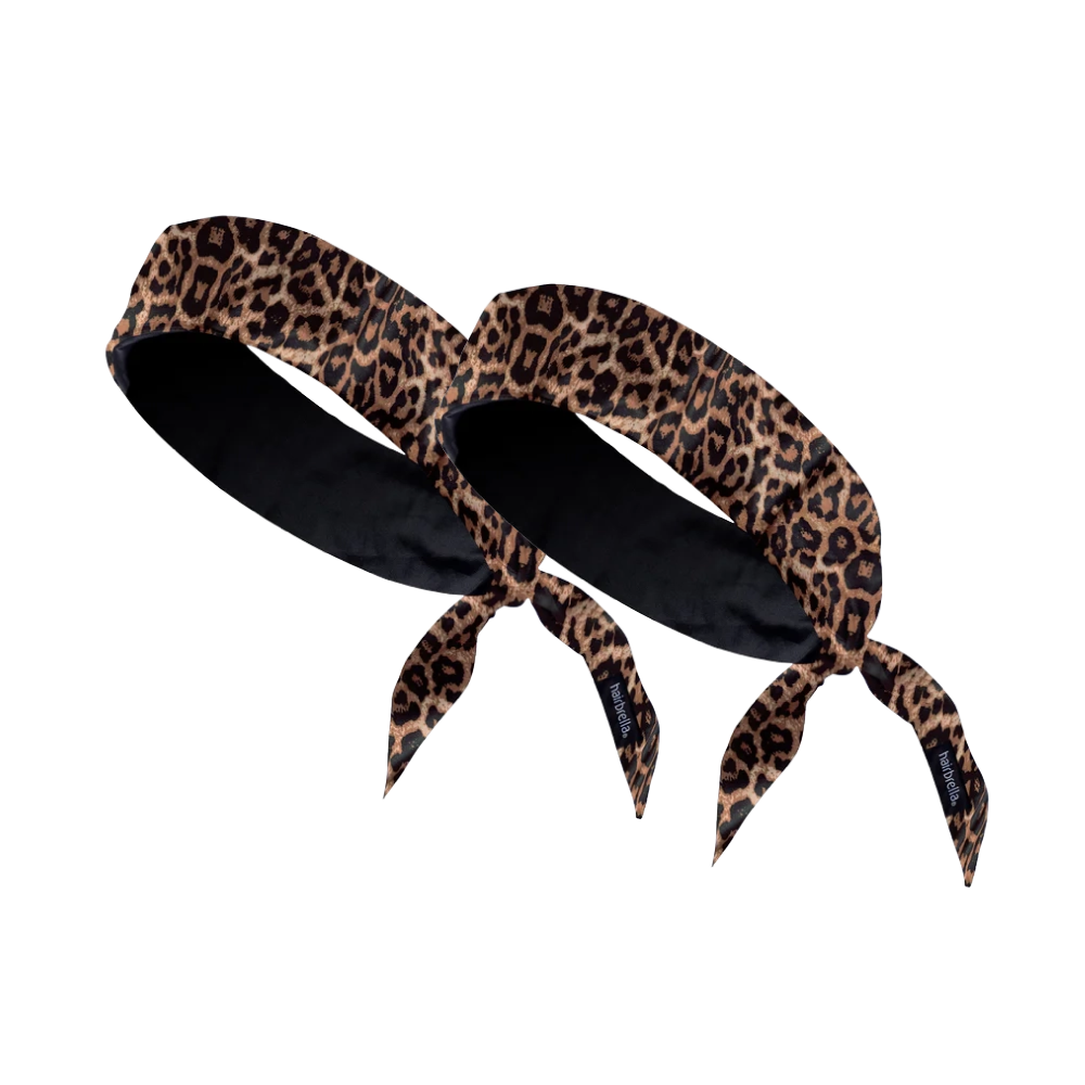 Leopard / Leopard
