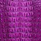 Purple Crocodile