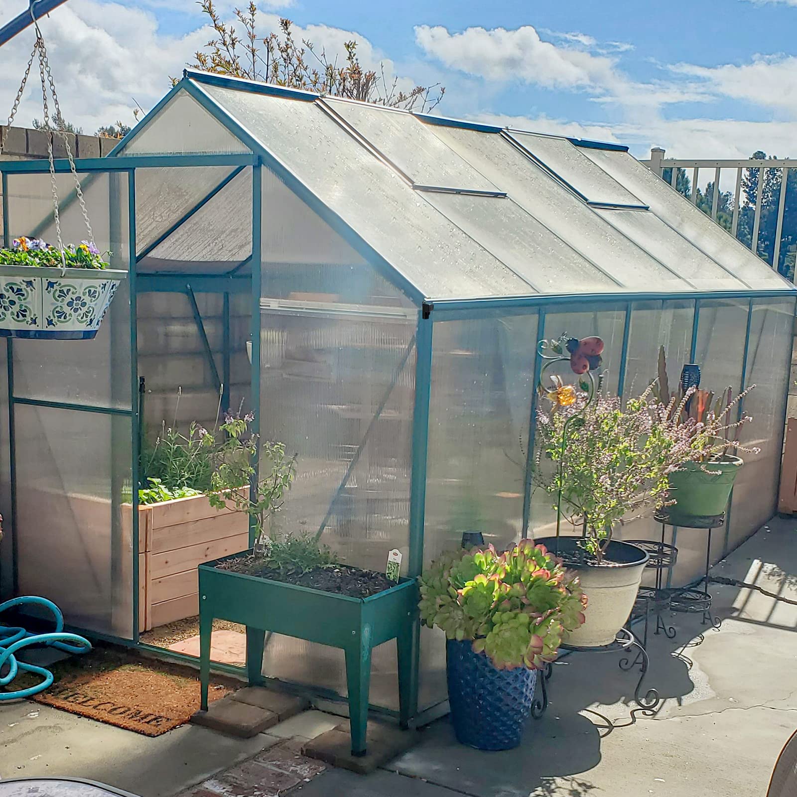 6.2x10.2 FT Heavy Duty Walk-In Greenhouse - Polycarbonate Panels & Aluminum Frame with 2 Vent Windows & Lockable Door - Perfect for Outdoor Gardening, Backyard Plant Nursery & Year-Round Growing
