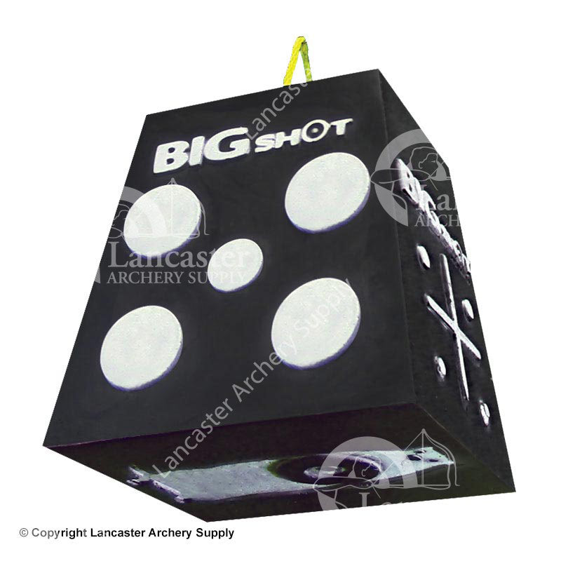 BIGshot Titan 16 Broadhead Target - High Density Foam Archery Target for Crossbow and Compound Bow Practice - Perfect for Backyard, Hunting, and Outdoor Training