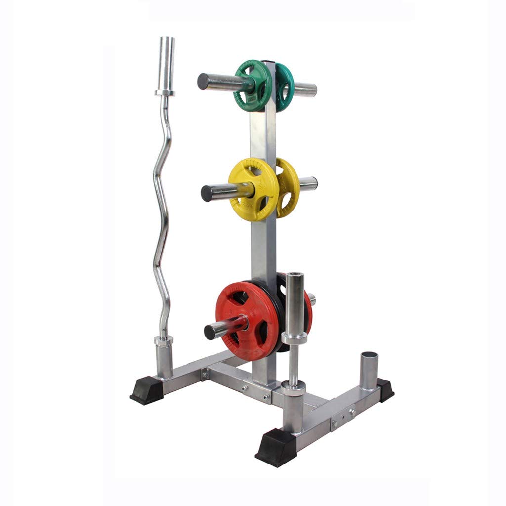 DSVF Olympic Weight Plate Rack - Vertical Bar Holder for 2 in Plates, Home Gym Weight Organizer & Storage Stand with 6 Circlips - Perfect for Weightlifting, CrossFit & Strength Training