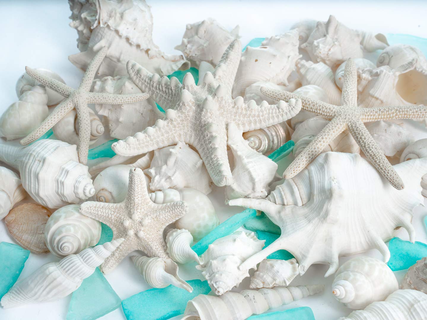 5lb Mixed White Real Beach Seashells with Starfish & Sea Glass - Natural Shells for DIY Crafts, Ocean Themed Decor, Beach Party Decorations - Perfect for Home Decor, Wedding Centerpieces, and Kids' Art Projects