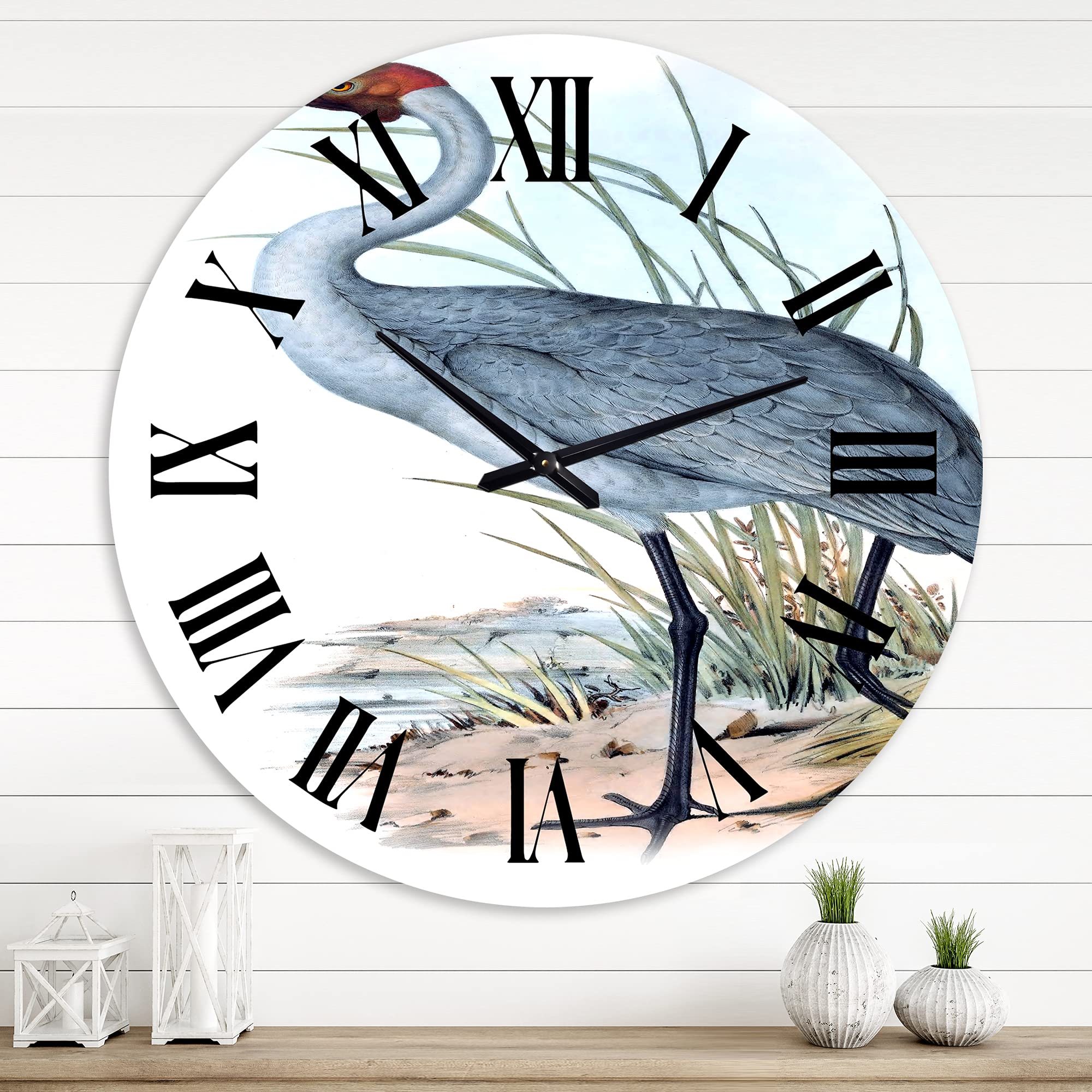 Vintage Australian Birds Wall Clock - Large Traditional Wall Clock for Home & Office Decor - Perfect for Living Room, Bedroom, and Workspace