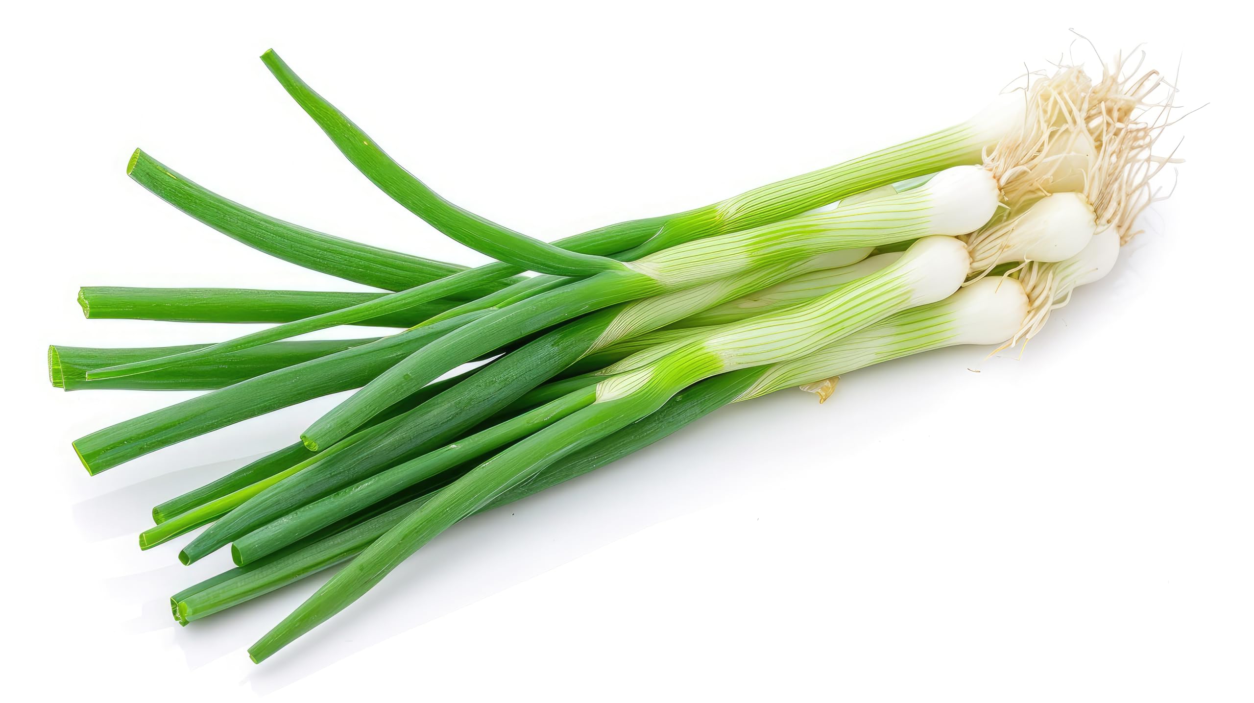 Fresh Green Onions Bunch by RawJoy Farms - Organic, Crisp Scallions for Cooking, Salads & Garnishes - Perfect for Soups, Stir-Fries & Healthy Recipes