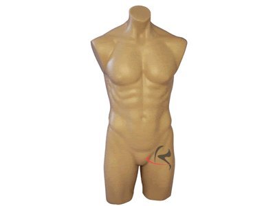 (PS-P908F) Realistic Male Mannequin Torso - Flesh Tone & White Options - Full Round Display Form for Clothing Stores, Tailors & Photography Studios