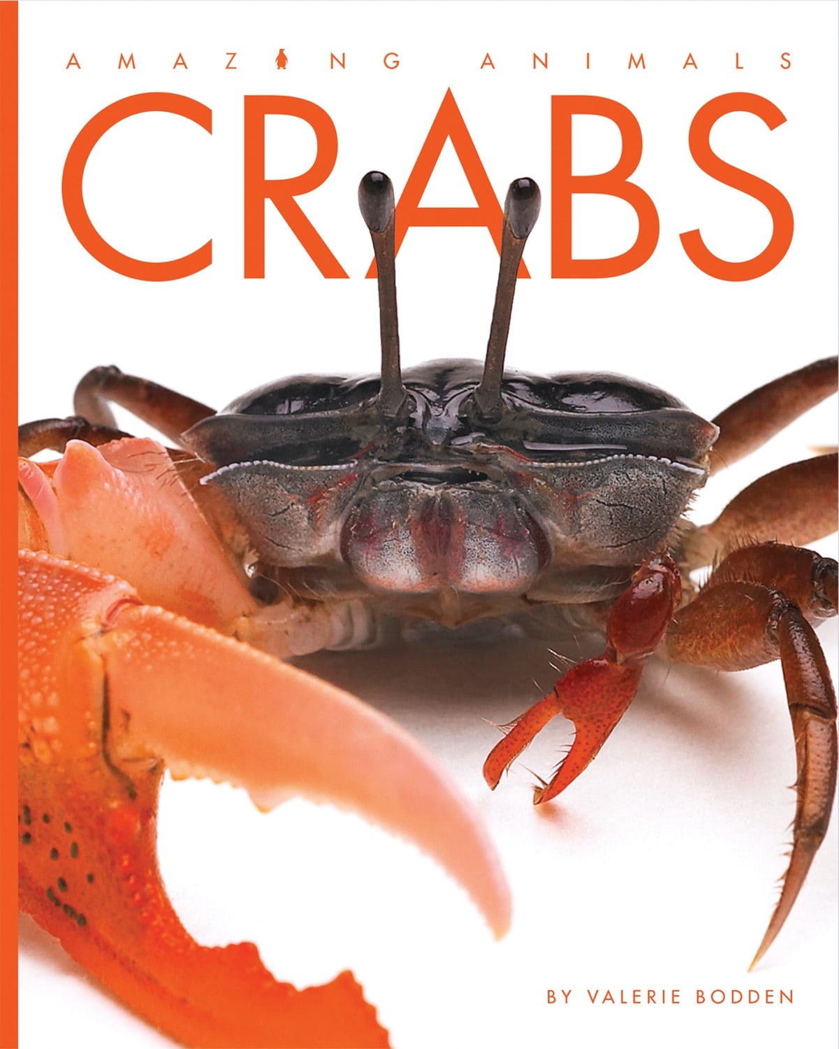 Amazing Animals (2014) - Crabs: Educational Wildlife Documentary for Kids & Nature Lovers | Perfect for Classroom Learning & Family Movie Nights