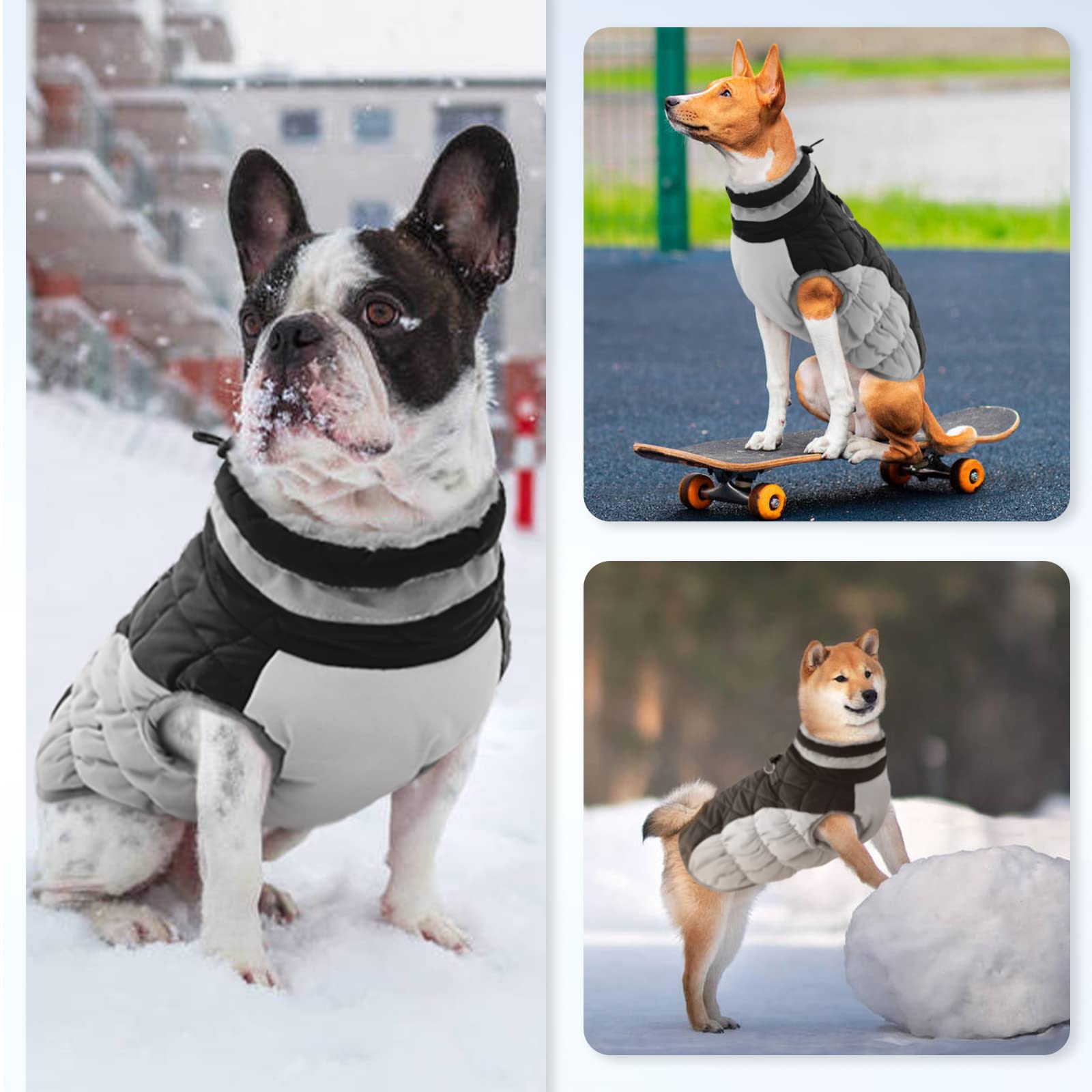 Waterproof Fleece-Lined Dog Winter Coat for Medium Dogs - Warm Zip-Up Jacket with D-Ring for Pug & Boston Terrier - Cold Weather & Snow Protection (Black, Size M) - Perfect for Winter Walks, Outdoor Adventures & Snow Play