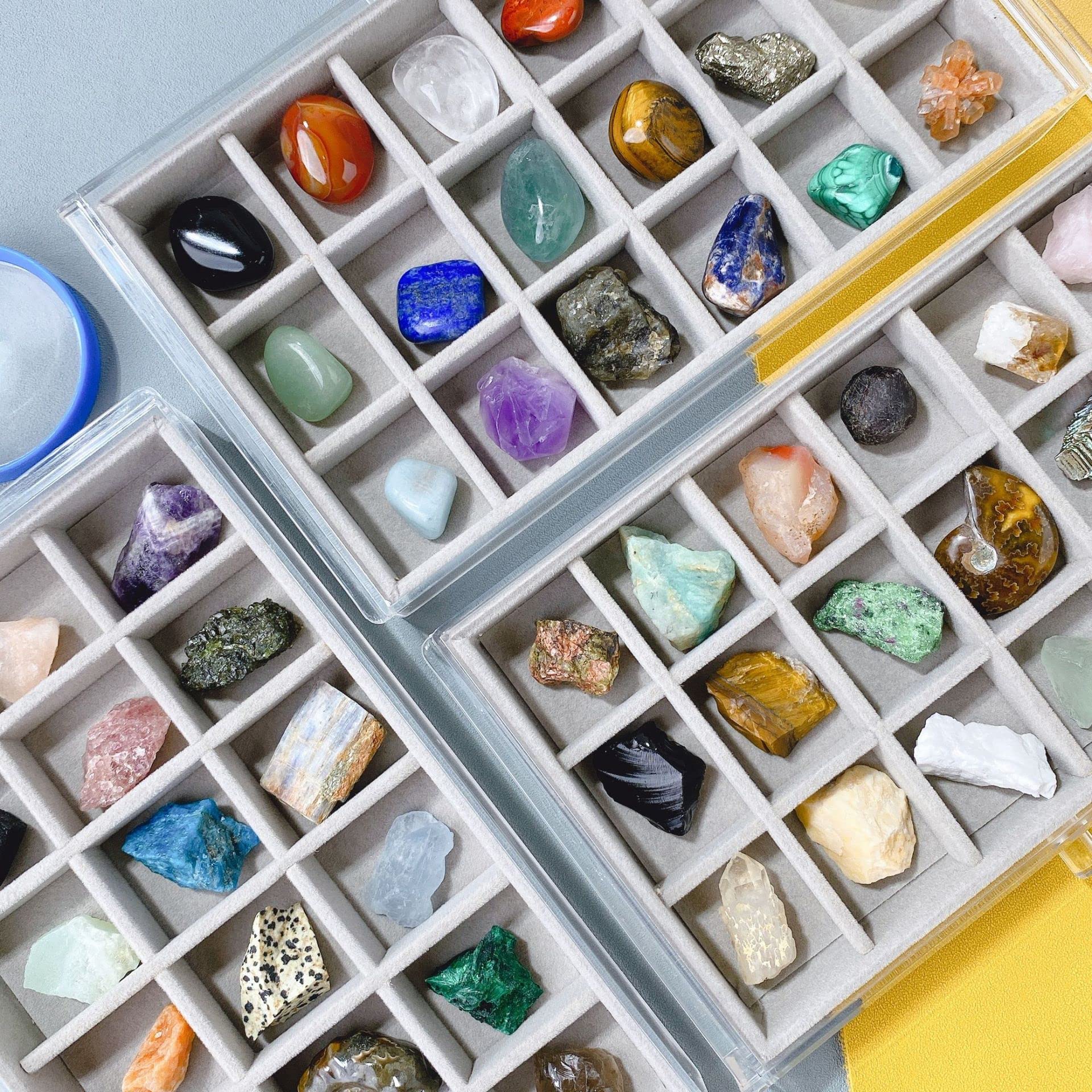 Acrylic Rock Collection Display Case - Clear Crystal Display Box for Kids, Fossils, Minerals & Collectibles - Perfect for Home Decor, Classroom Learning & Gift Giving