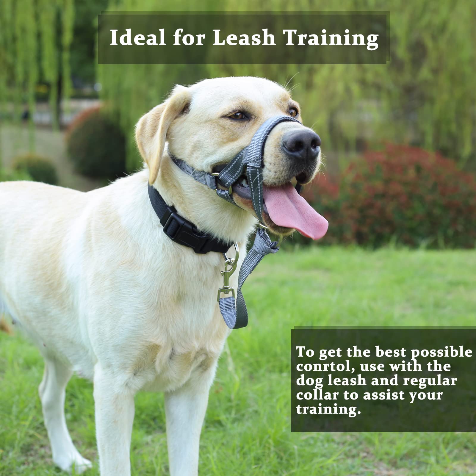 BARKLESS No Pull Dog Head Collar - Soft Padded Head Halter for Small Medium Large Dogs - Gentle Training Solution for Walking & Behavior Control