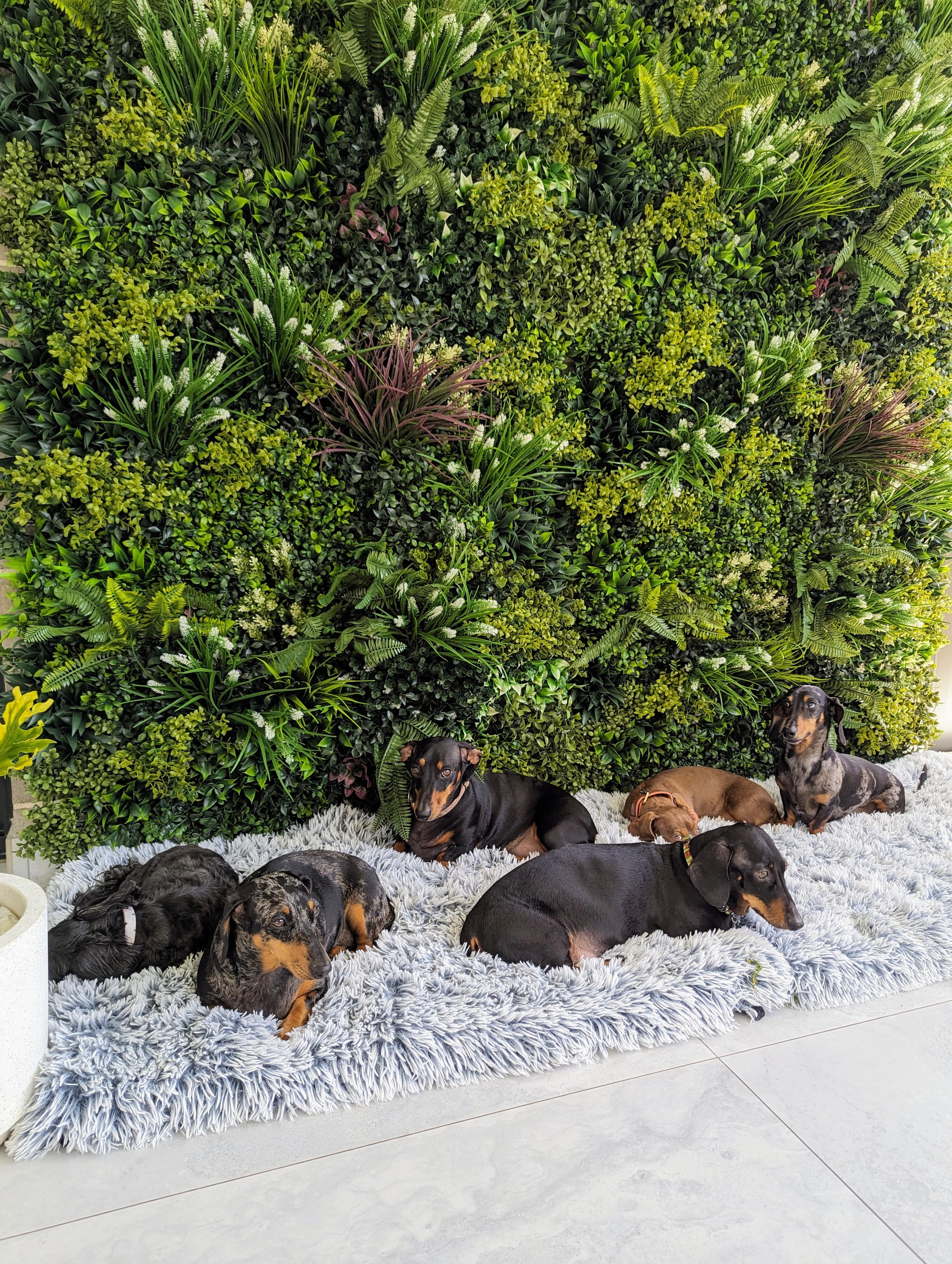 Premium Vertical Garden Wall Panel - 100cm x 100cm UV Resistant Artificial Green Wall for Indoor/Outdoor Decor - Perfect for Balcony, Patio, Office & Home Decoration