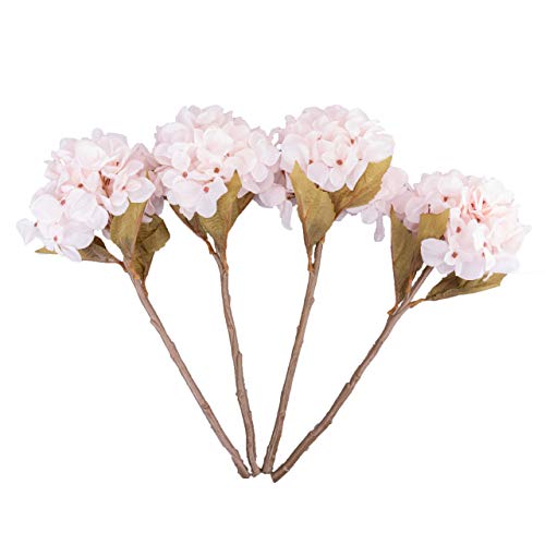 L.pink