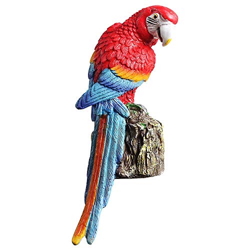 Red parrot