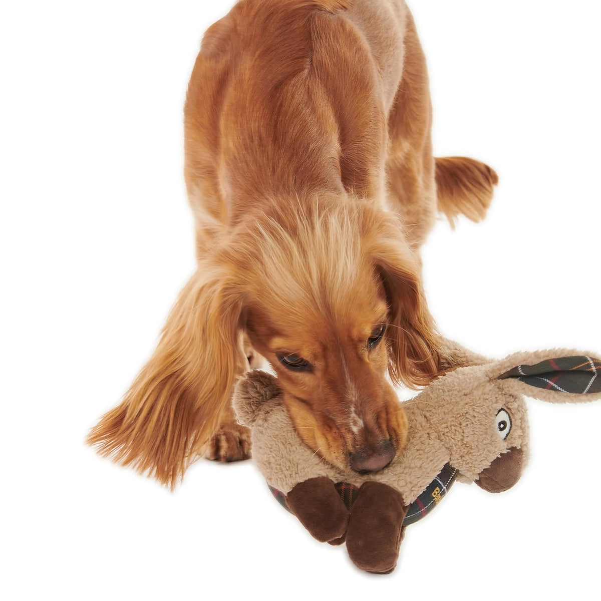 Barbour Rabbit Plush Dog Toy - Soft & Durable Chew Toy for Small & Large Dogs - Perfect for Playtime, Training & Cuddling