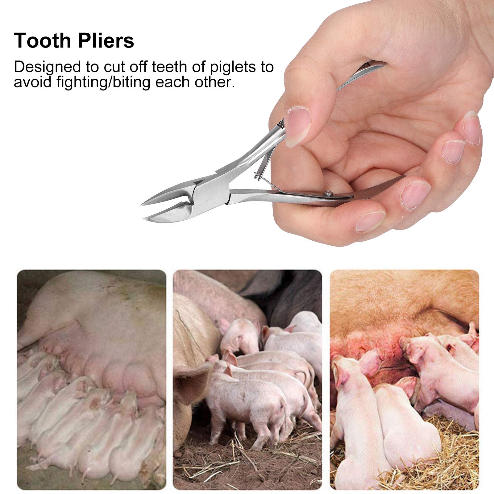 Stainless Steel Piglet Teeth Cutter Pliers - Professional Livestock Equipment for Pig Tooth Trimming | Durable Elbow Design for Safe & Efficient Piglet Care | Ideal for Farmers, Veterinarians & Livestock Handlers